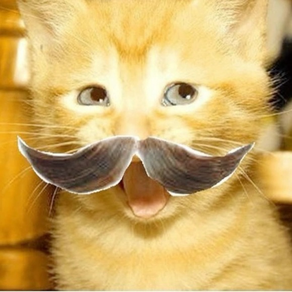 kitttiiieeeee2